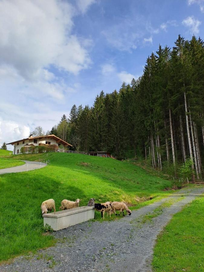 Ferienhaus Hansl Prama Εξωτερικό φωτογραφία